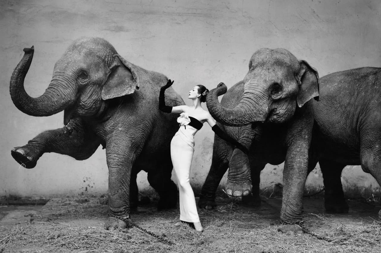 TASCHEN Icons of Photography
