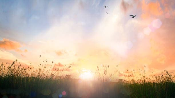 Summer, quietly