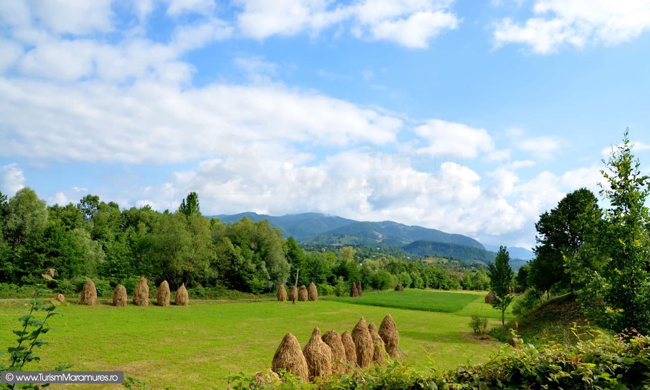 Traseul spre Rezervația Pădurea Crăiască și Vârful Preluca