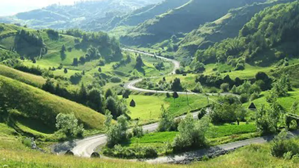 Traseul prin Valea Bârsanei spre Vârful Runcului