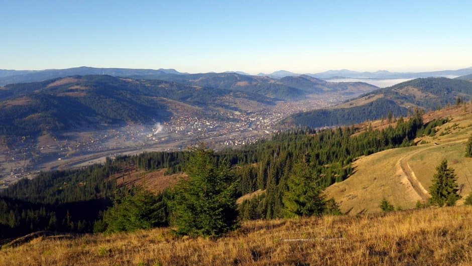 Plaiul Giumalău (drumuri forestiere)