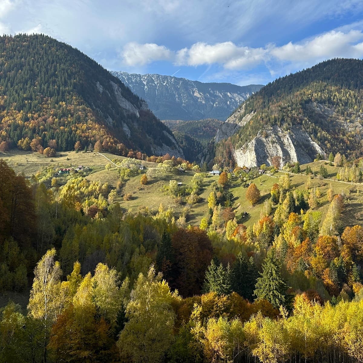 Traseul spre Vârful Măgura Runcului