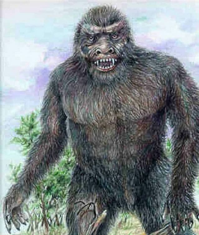 Yowie