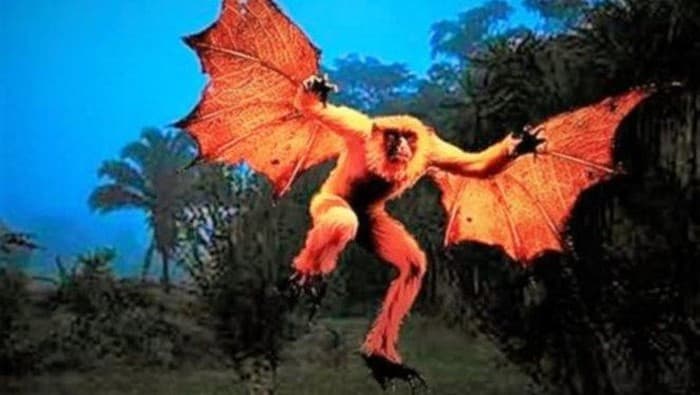 Orang-Bati